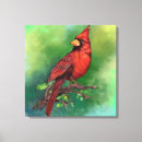Recherche de cardinal rouge toiles Belle