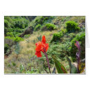 Recherche de indica Fleur