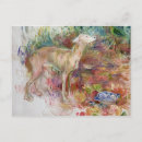 Recherche de lévrier cartes postales Limier