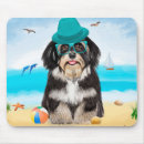 Recherche de haïtien tapis souris Animal