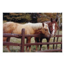 Recherche de jument posters Ranch