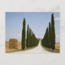 Recherche de scène cartes invitations Route