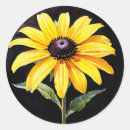 Zoek naar zwarte ogen stickers Floreel