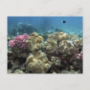 Recherche de great barrier reef cartes postales Queensland