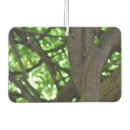 Recherche de pergolas Glycine