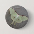 Recherche de luna badges Mite