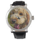 Recherche de caniche standard horloges Chiot