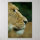 Recherche de oeil posters De près