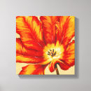 Recherche de tulipe perroquet art Botanique