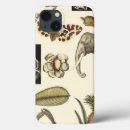 Recherche de insecte coques Nature