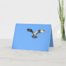 Recherche de faucons vœux cartes Rapace