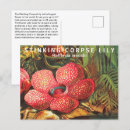 Recherche de nénuphar tropical cartes postales Fleur