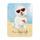 Recherche de chien westie magnets West highland white terrier