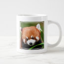Recherche de panda roux tasses Faune