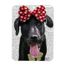 Recherche de labrador noir magnets Antique