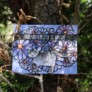 Recherche de marguerite violette cartes postales Fleurs