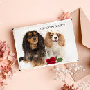 Recherche de nouveau chien vœux cartes Rose
