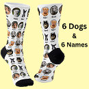 Recherche de photo chaussettes Photo pour chien