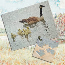 Recherche de oies puzzles Nature