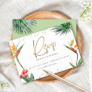 Recherche de oiseaux tropicaux invitations Invités