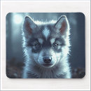 Recherche de loup sauvage tapis souris Faune