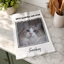 Recherche de chat cuisine linges Amoureux des animaux