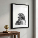 Recherche de queue rouge Oiseau