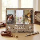 Recherche de le chiot plaques Père
