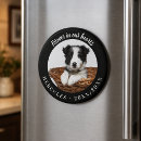 Recherche de cercle animaux articles Pour tous