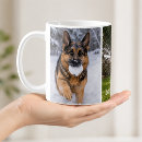 Recherche de de chien berger allemand tasses Gsd