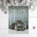 Recherche de chat vœux cartes Animal