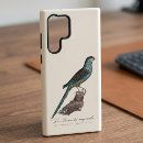 Recherche de perruches coques Perroquet
