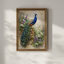 Zoek naar bloementuin posters Vintage