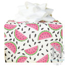 Zoek naar watermeloenen cadeaupapier Waterverf