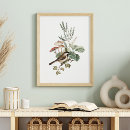 Zoek naar vogels vintage posters Botanisch