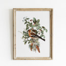 Recherche de illustration de nature posters Botanique