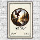 Recherche de rapaces posters Oiseau