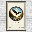 Recherche de rapaces posters Oiseau