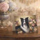 Recherche de border collie vœux cartes Amoureux des chiens