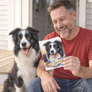 Recherche de de border collie vœux cartes Chien