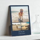 Recherche de animaux portraits Perte d'animal de compagnie