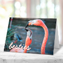 Zoek naar flamingo kaarten Vogel