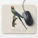 Recherche de illustrations vintages tapis souris Oiseau