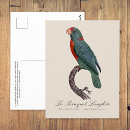 Recherche de oiseau perroquet cartes postales Perruche