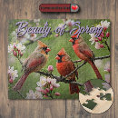 Zoek naar vogels puzzels Kardinaal