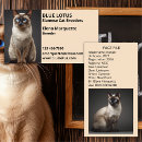 Recherche de felines cartes visite Toute personne