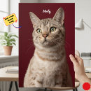 Recherche de mémorial chat posters Cats