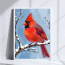 Zoek naar winter vogels posters Waterverf
