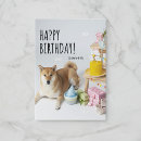 Recherche de inus shiba vœux cartes Toute personne
