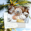 Recherche de jewels cartes postales Toute personne